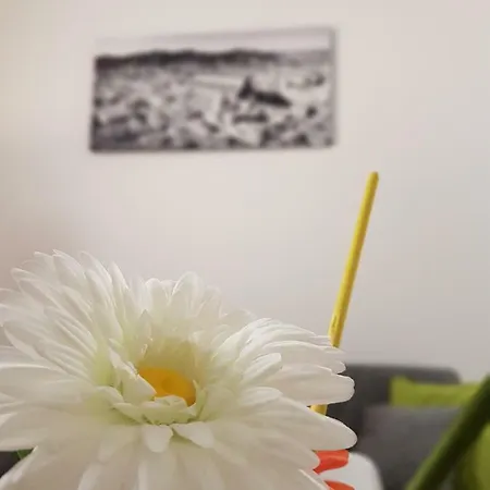 Apartment Fico Fiera